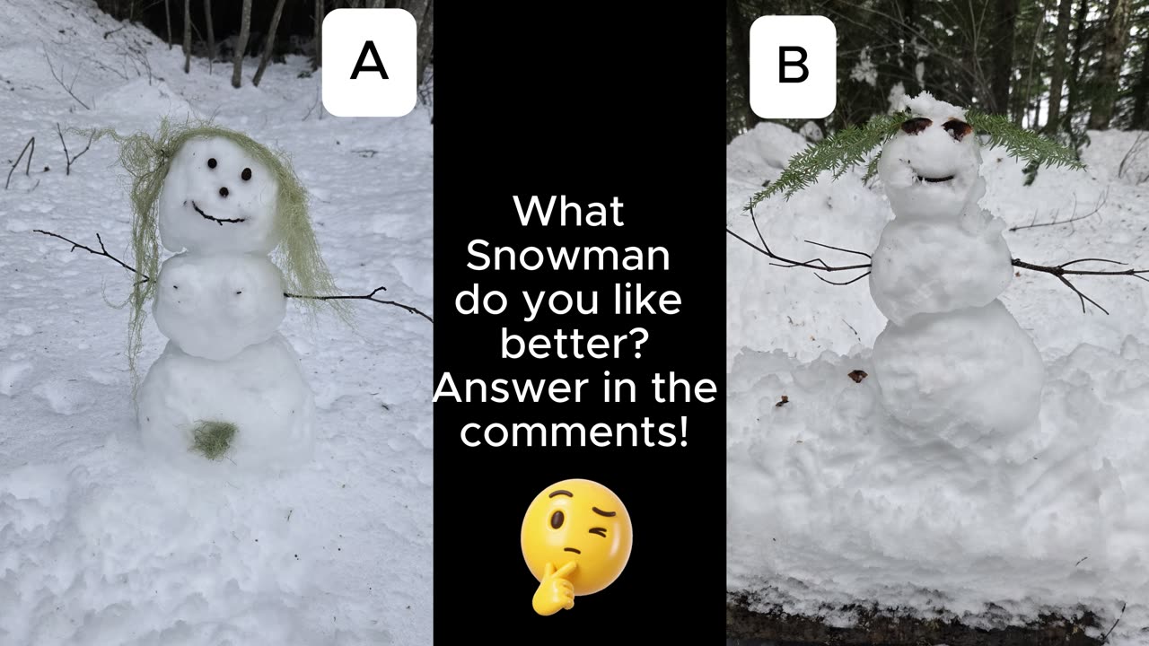 Copper Creek Hut/ Drone footage.