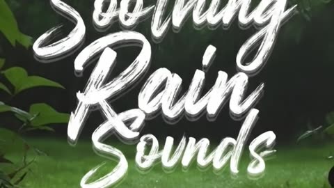 Gentle Rain Sounds to Unwind and Sleep Well🌧️