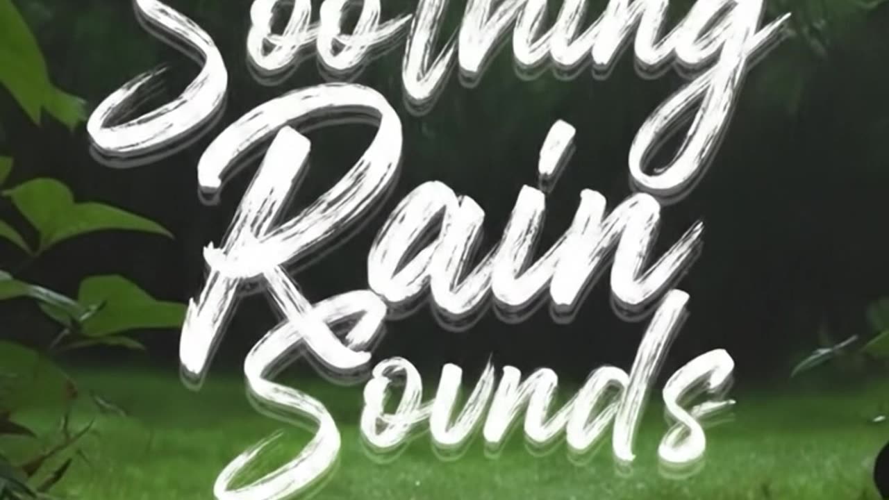 Gentle Rain Sounds to Unwind and Sleep Well🌧️