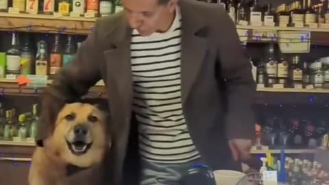 this dog has a full-time job