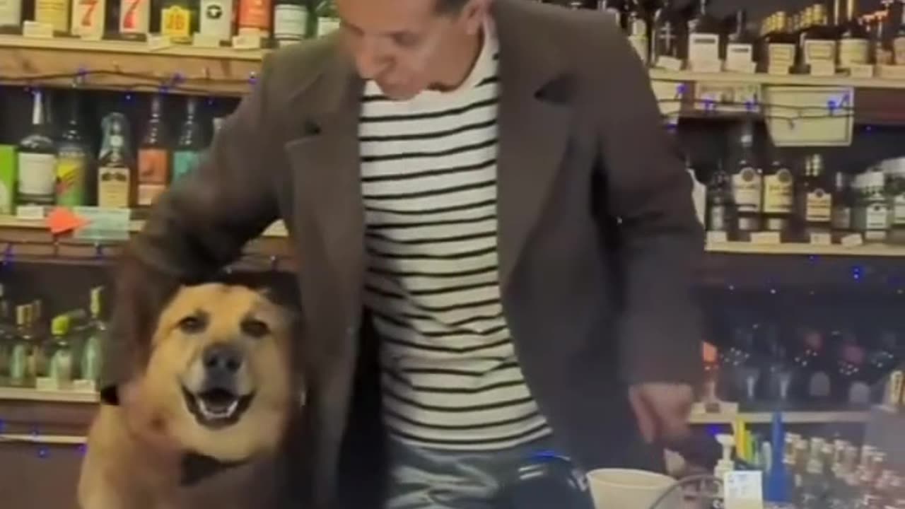 this dog has a full-time job