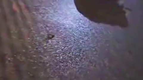 Приколы