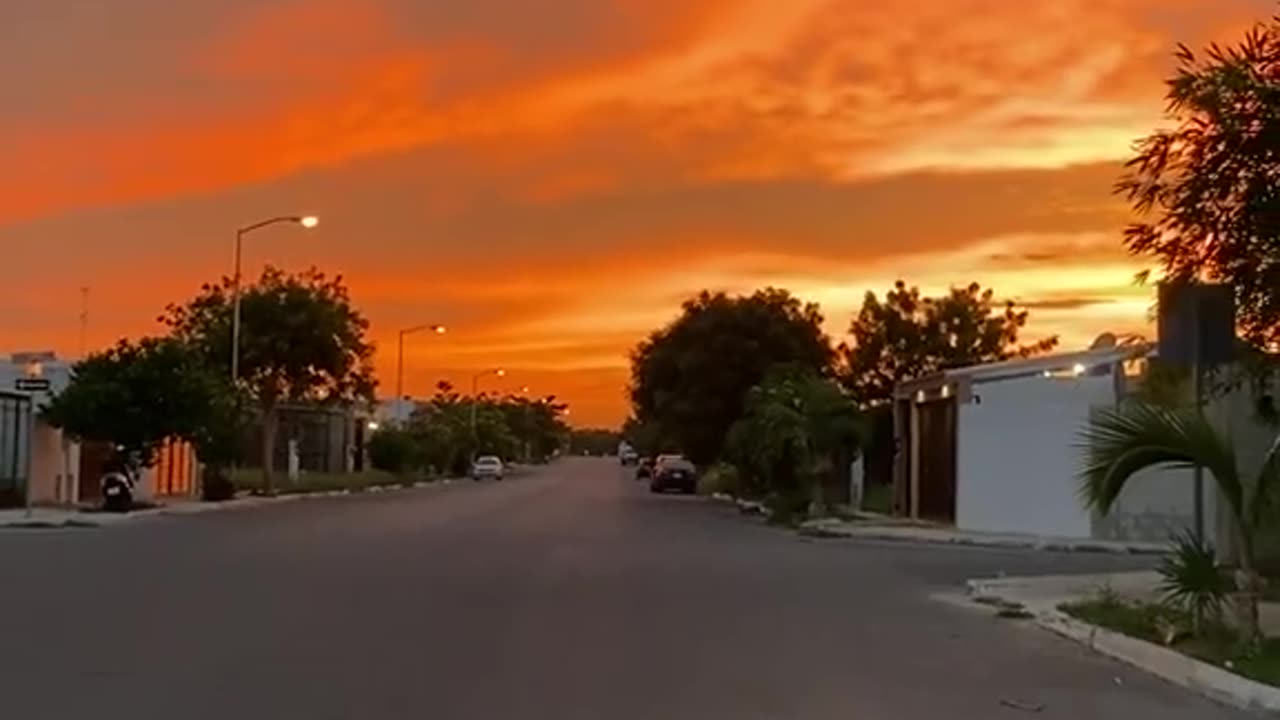 Enjoying the sunset 😊