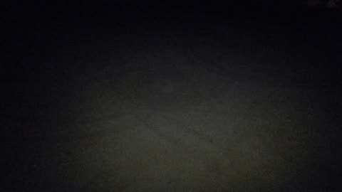 Perhaps extraterrestrial primates had visited Borrego...