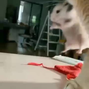 Let me finish my food before we go please 😂