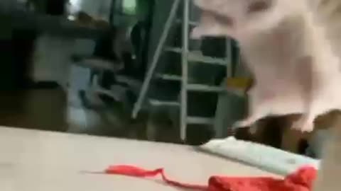 Let me finish my food before we go please 😂