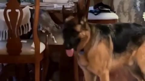 Play Time Cyrus 🆚 Esther
