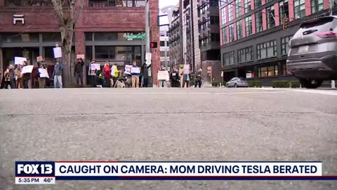 WOMAN DRIVING A TESLA IN THE SEATTLE AREA GETS CUT OFF AND STOPPED IN THE MIDDLE OF THE ROAD