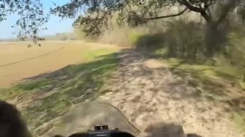 Riding along a levee