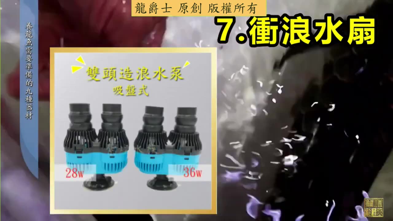 【龍爵士】 龍魚百科 養龍魚必要的九種設備