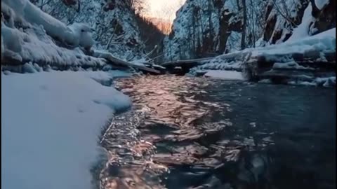 "Raw Power: Nature's Thunderous Rumble"