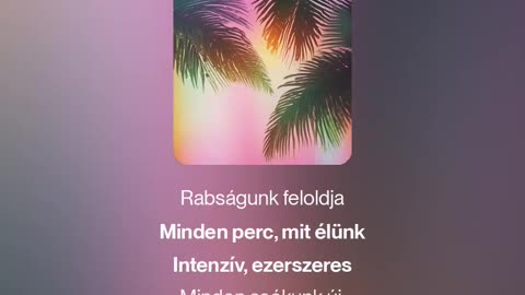 Ami közben történt (1)