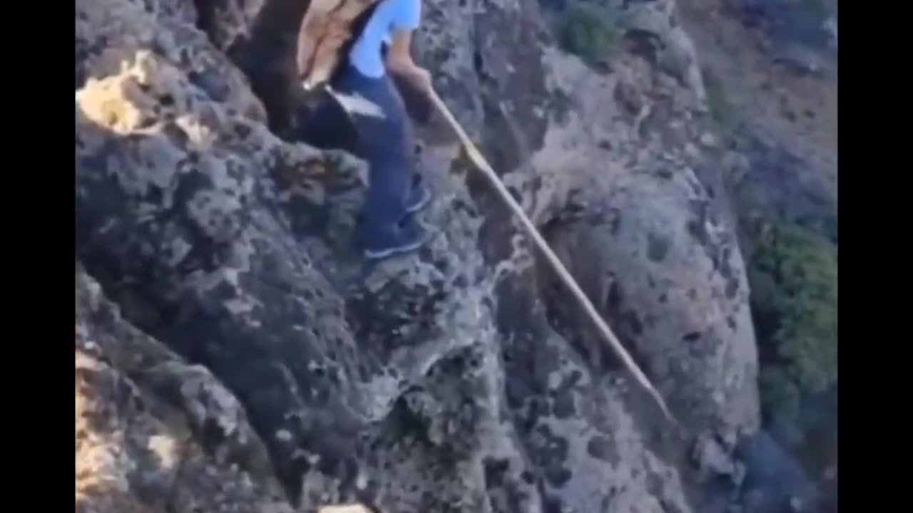 Hilarious Highlights | Meme Madness Ahead π¬π₯