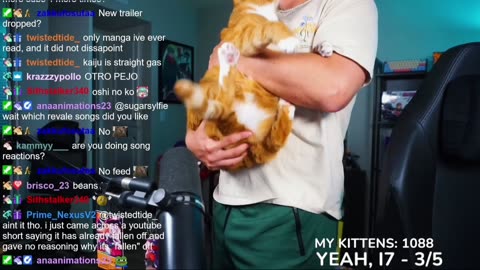 ThatsTheBruh Cat's Beans