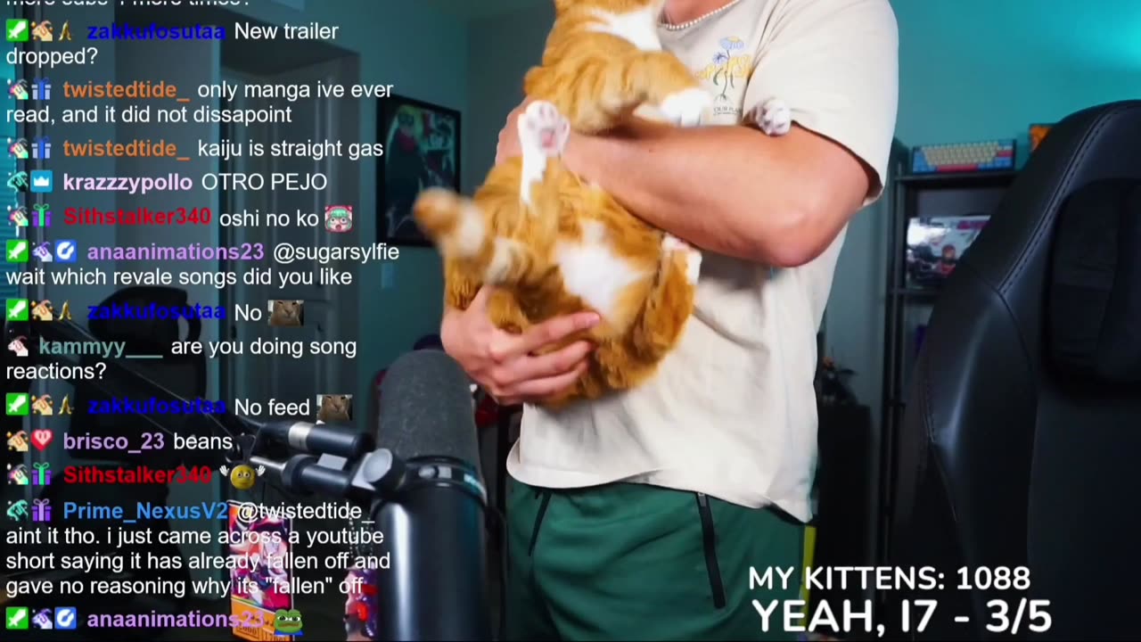 ThatsTheBruh Cat's Beans