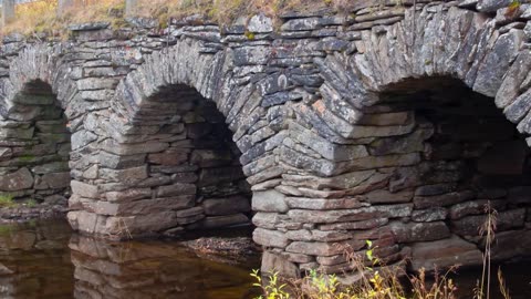 Arch Bridge vs. Suspension Bridge; What’s the Difference¿