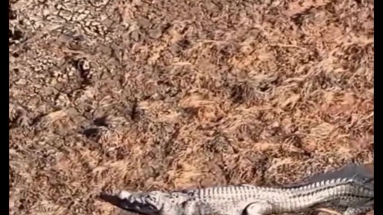 Paranormal & Creepy Footage 👀 Real Scary Compilation