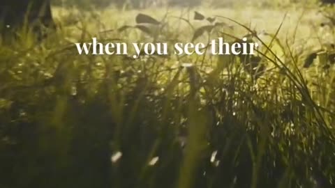 Belonging: My wish for all of you 🤍 ☀️