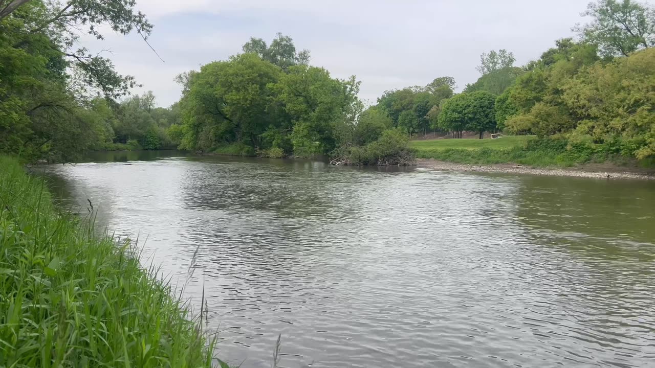 May 27 James Gardens visit compilation