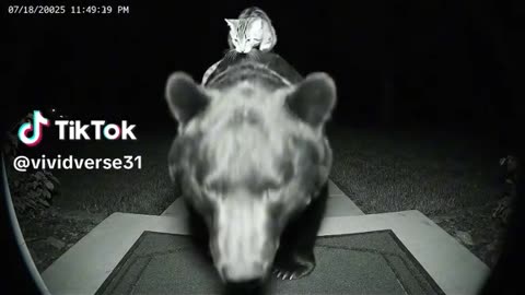 Night Cam: OMG I seriously need to know how they met