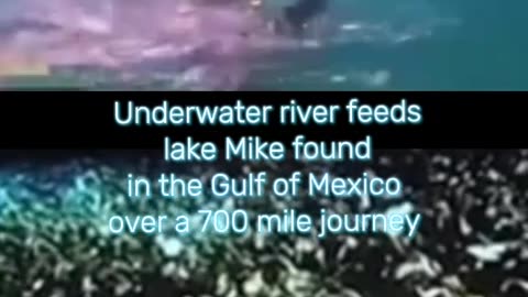 Underwater world is connected by its own rivers and lakes. It’s only proves God‘s word