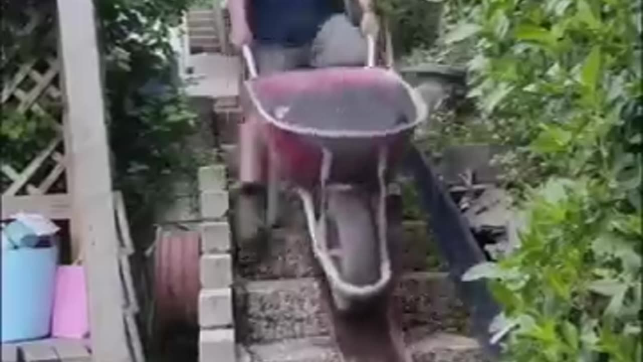 When the dog failed 😂🐶