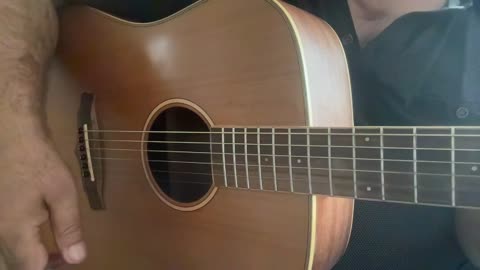 Cara al Sol (2)