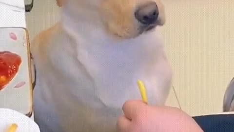 😂🍟 Please share the fries AND the ketchup! | FunFM