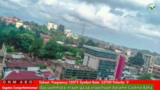 Oduu Ganama ONM-ABO Fulbaana 24-2025 itti dhiyaadhaa!