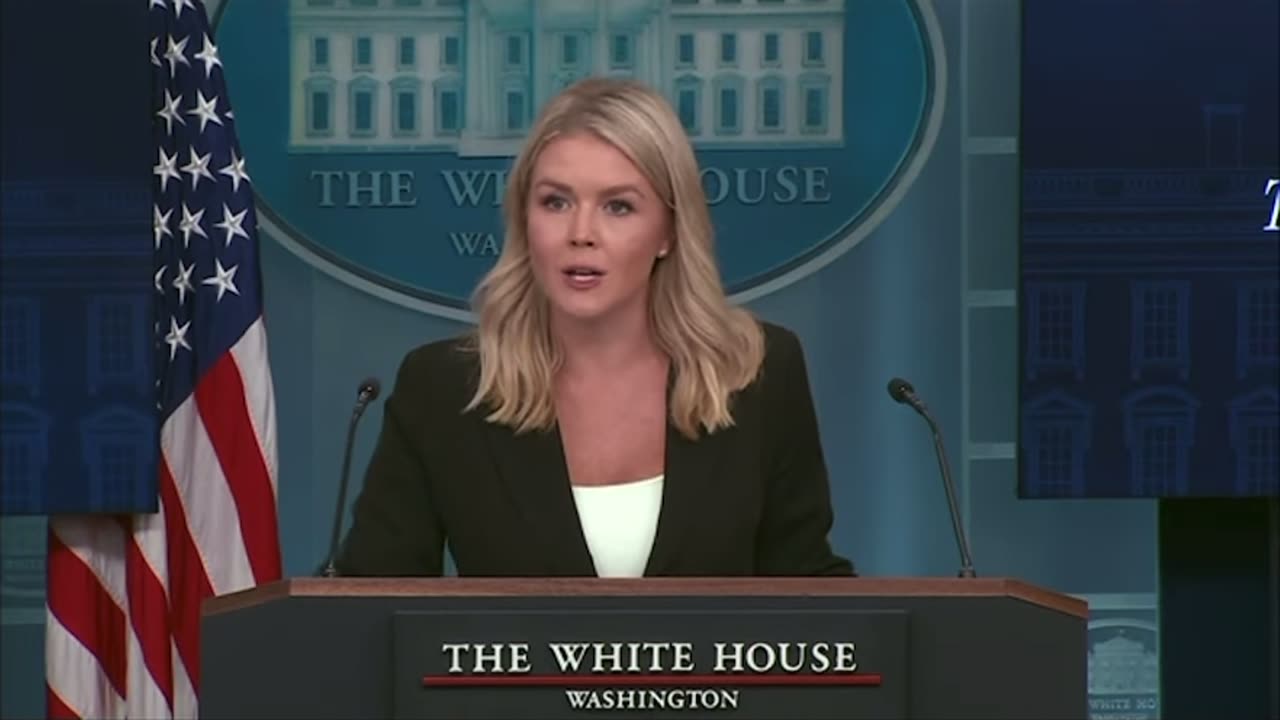 Karoline Leavitt responds to Democrats calling for Democratic officials to shed blood