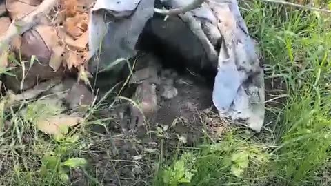 Ukrainian soldiers