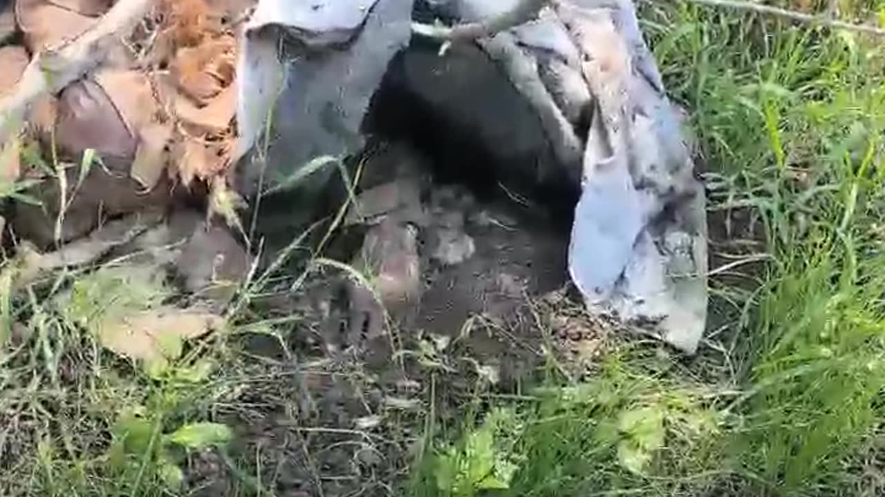 Ukrainian soldiers