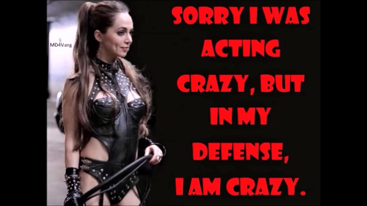 6125 Funny Laugh Out Loud Hilarious Memes Jokes Cartoons