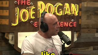 Mantis vs. Bird: Shocking - Katee Sackhoff with Joe Rogan #bird #prayingmantis #predation