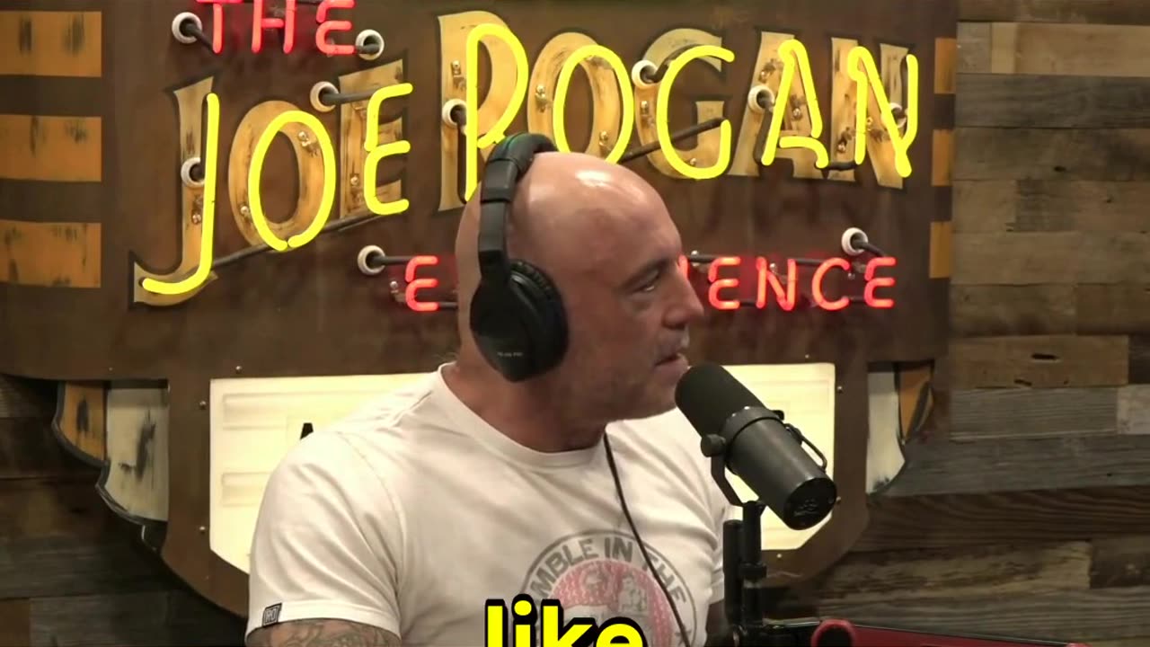 Mantis vs. Bird: Shocking - Katee Sackhoff with Joe Rogan #bird #prayingmantis #predation