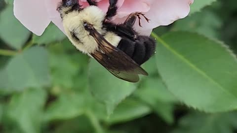 "My man always liked em tight,"