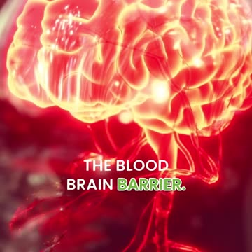 🧠💪 Creatine - For MORE than Just Muscles!