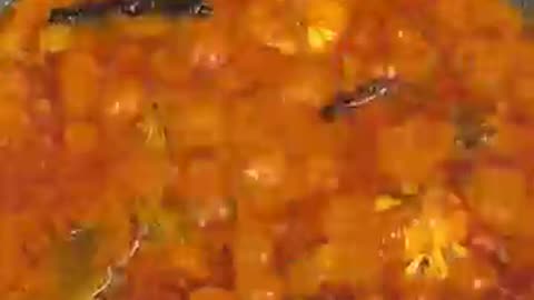 Fastest Ever Spicy 🥵🔥 Egg 🥚🍳🇨🇦🇨🇦