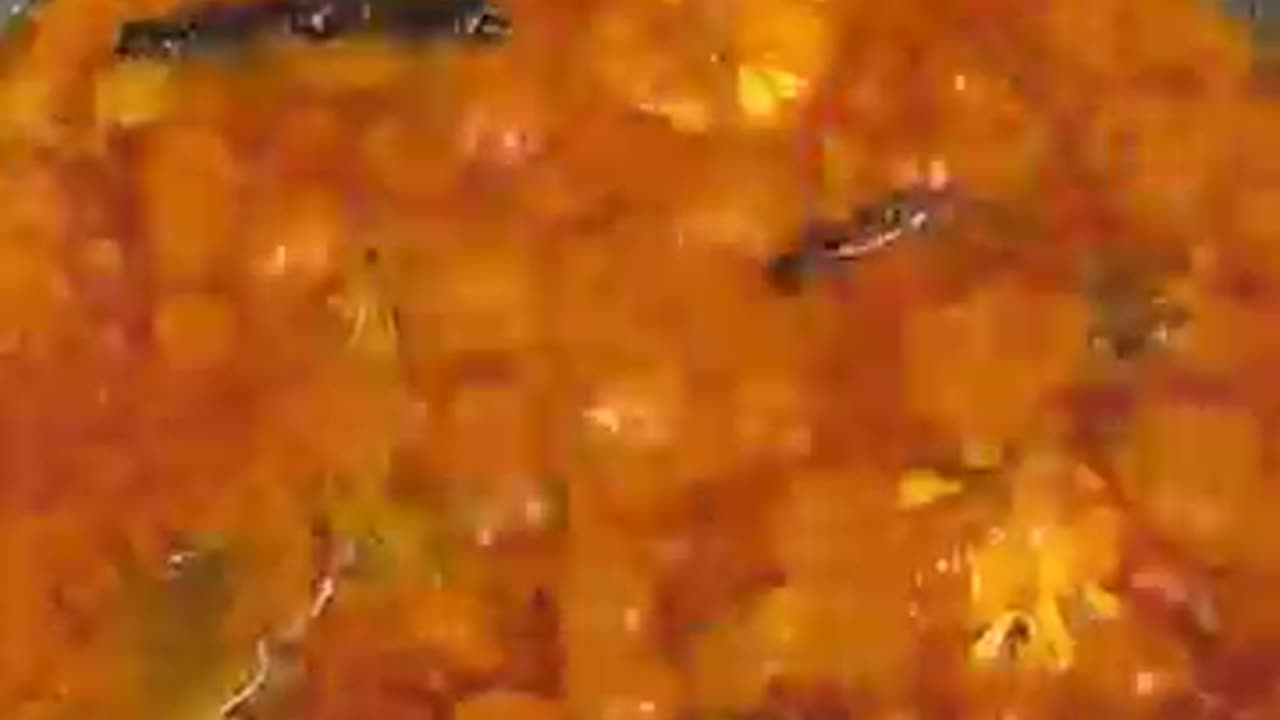 Fastest Ever Spicy 🥵🔥 Egg 🥚🍳🇨🇦🇨🇦