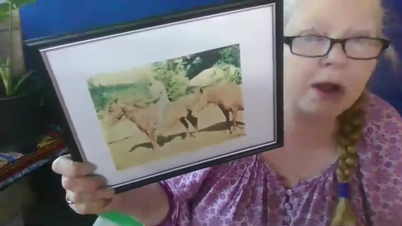 Here's What We've Learned 2020