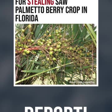 They Shouldn't Even Be Here!