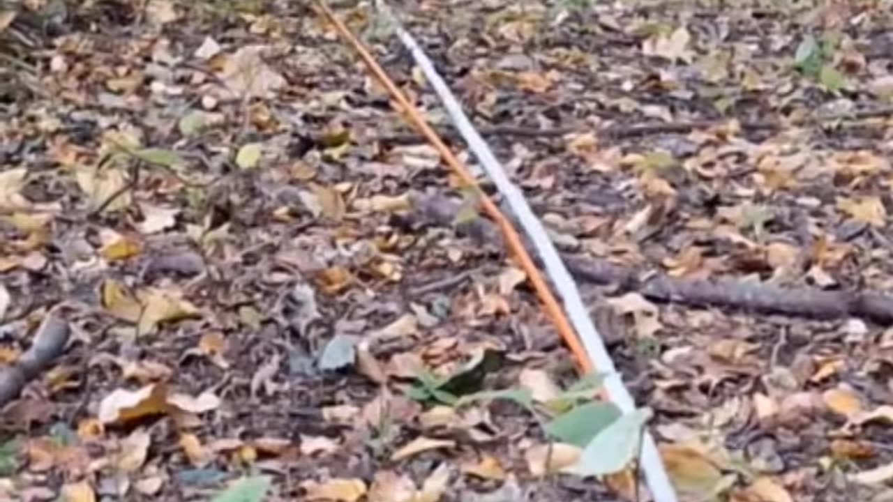 Building a secure shelter under my tree with a fireplace inside