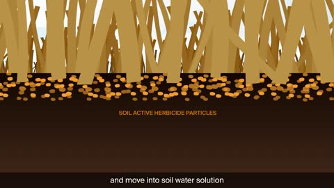 Ask A Nufarmer – How do Soil Active Herbicides Work?