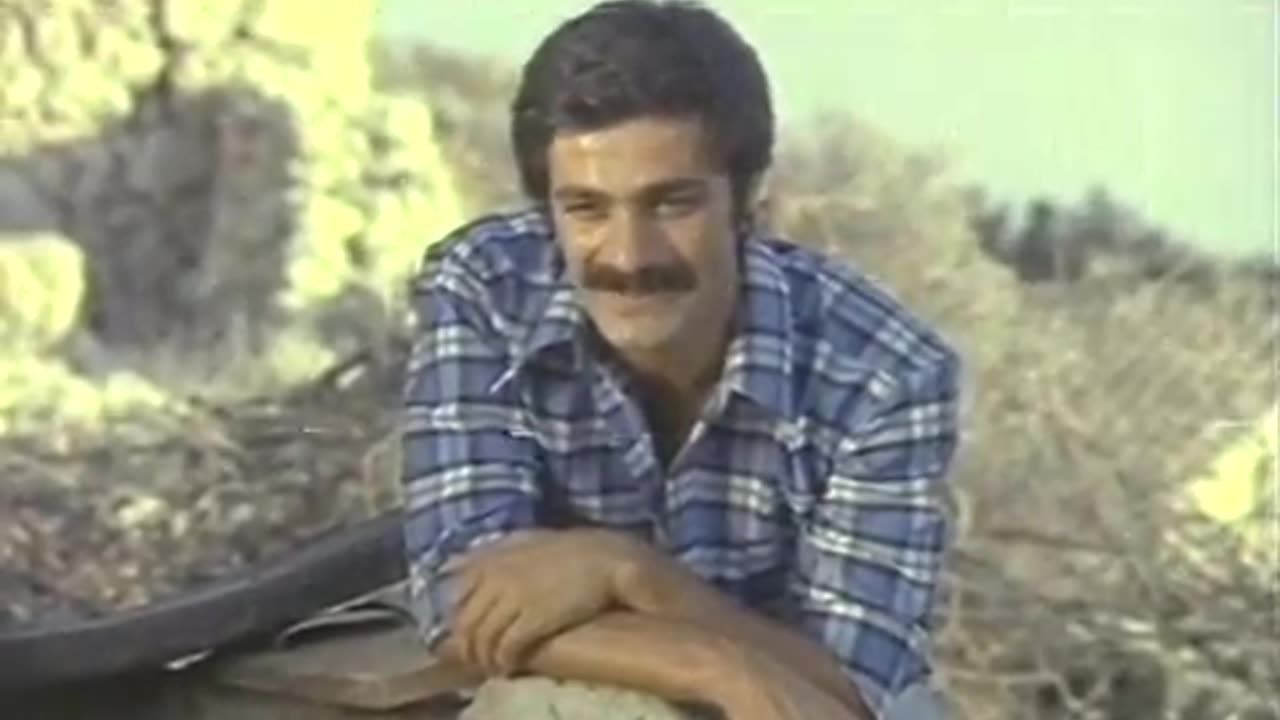 Köprü