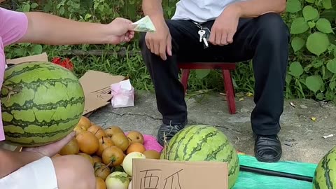 Funny moments video