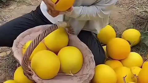 Amazing Incredible Fruits Very Rare #fruit #shorts #nature