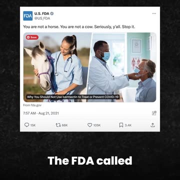 What is happening? They've really crossed the line!