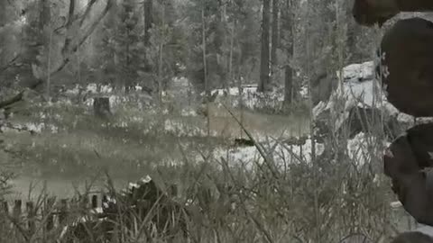 Look What I Got From Santa