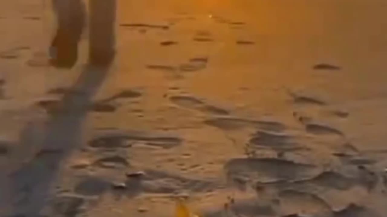 Amazing photos shooting