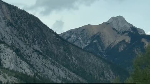 Daily Horoscope | Capricorn 🌟